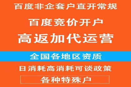 从小白到高手：百度竞价赚钱全记录